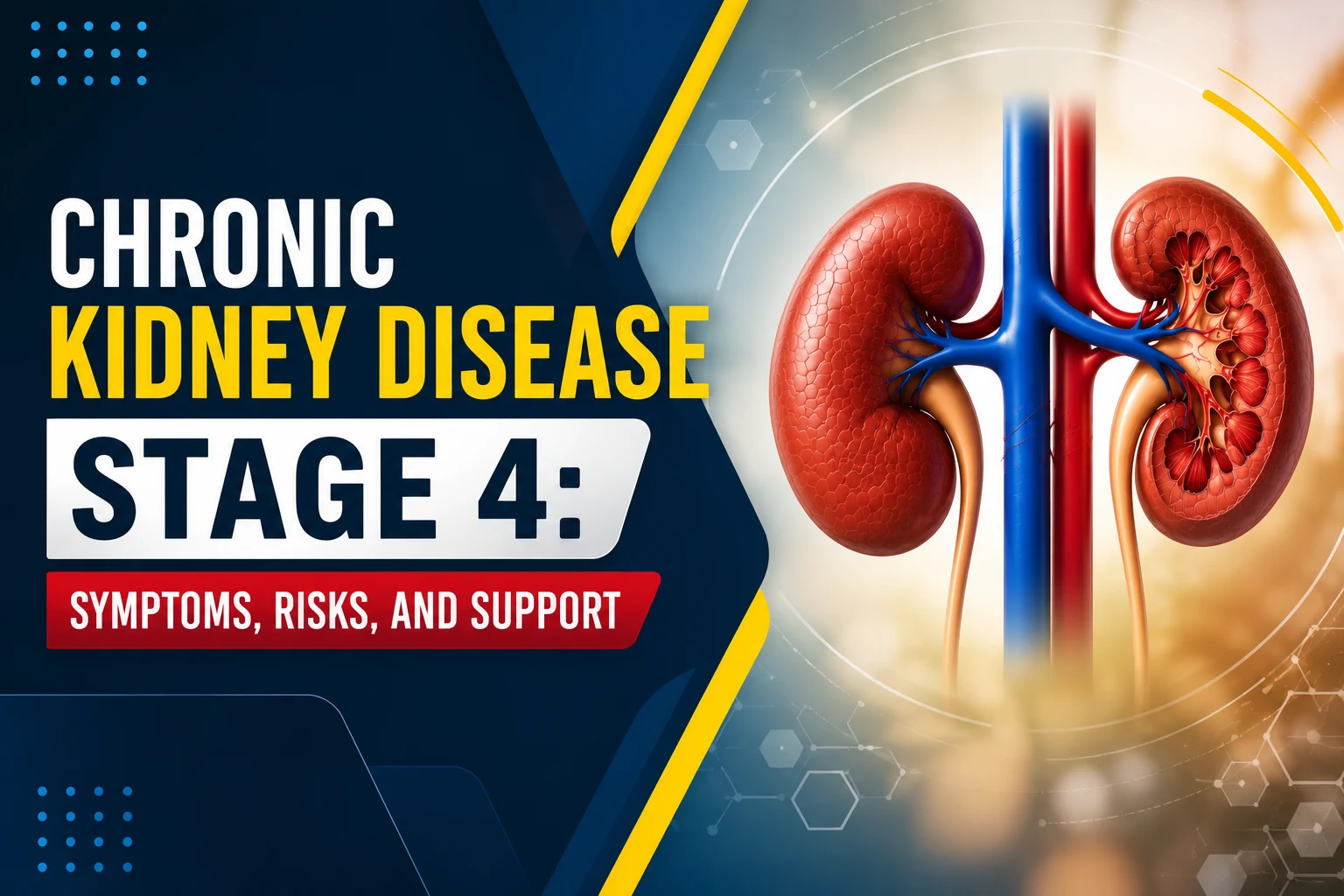 Chronic Kidney Disease Stage 4: Symptoms, Risks, and Support